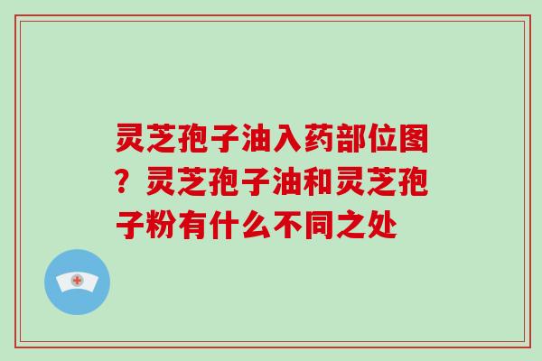 灵芝孢子油入药部位图?灵芝孢子油和灵芝孢子粉有什么不同之处 灵芝孢子油入药部位图?灵芝孢子油和灵芝孢子粉有什么不同之处