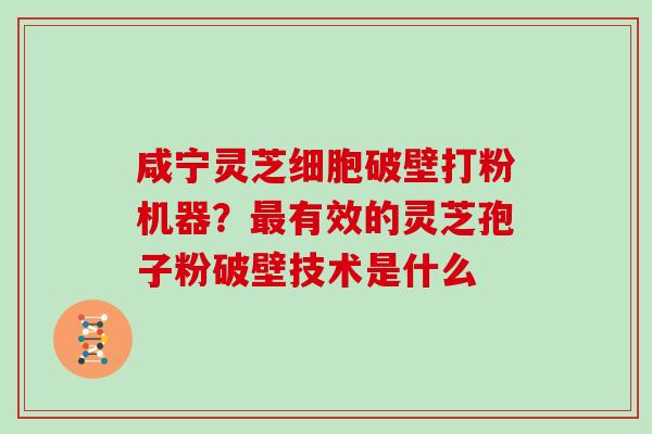 咸宁灵芝细胞破壁打粉机器?有效的灵芝孢子粉破壁技术是什么 咸宁灵芝细胞破壁打粉机器?有效的灵芝孢子粉破壁技术是什么