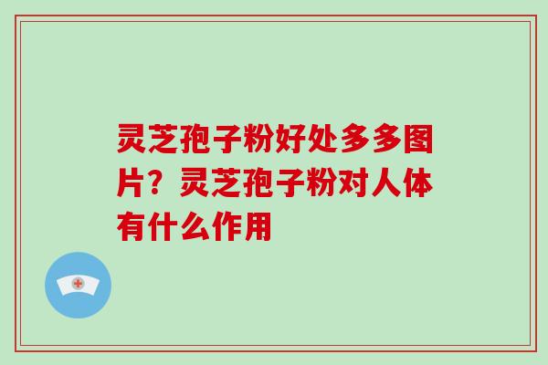 灵芝孢子粉好处多多图片?灵芝孢子粉对人体有什么作用 灵芝孢子粉好处多多图片?灵芝孢子粉对人体有什么作用