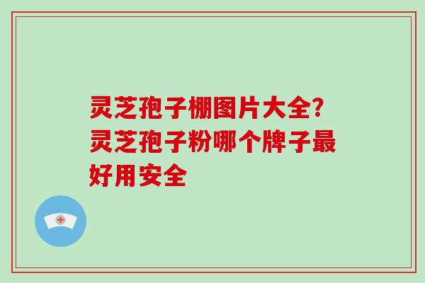 灵芝孢子棚图片大全?灵芝孢子粉哪个牌子好用安全 灵芝孢子棚图片大全?灵芝孢子粉哪个牌子好用安全