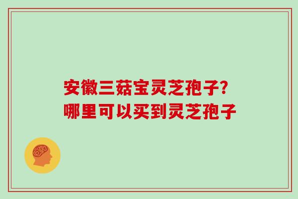 安徽三菇宝灵芝孢子?哪里可以买到灵芝孢子 安徽三菇宝灵芝孢子?哪里可以买到灵芝孢子