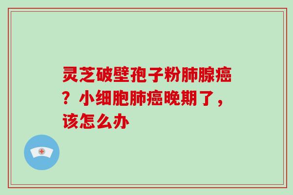 灵芝破壁孢子粉腺?小细胞晚期了,该怎么办 灵芝破壁孢子粉腺?小细胞晚期了,该怎么办