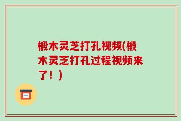 椴木灵芝打孔视频(椴木灵芝打孔过程视频来了!) 椴木灵芝打孔视频(椴木灵芝打孔过程视频来了!)