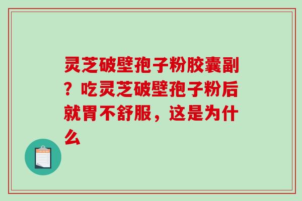 灵芝破壁孢子粉胶囊副?吃灵芝破壁孢子粉后就胃不舒服,这是为什么 灵芝破壁孢子粉胶囊副?吃灵芝破壁孢子粉后就胃不舒服,这是为什么