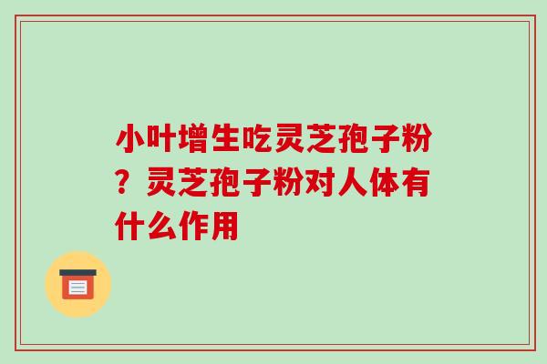 小叶增生吃灵芝孢子粉?灵芝孢子粉对人体有什么作用 小叶增生吃灵芝孢子粉?灵芝孢子粉对人体有什么作用