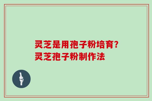 灵芝是用孢子粉培育?灵芝孢子粉制作法 灵芝是用孢子粉培育?灵芝孢子粉制作法