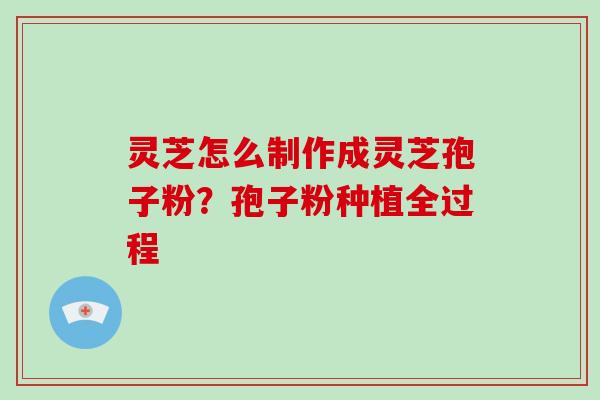 灵芝怎么制作成灵芝孢子粉？孢子粉种植全过程