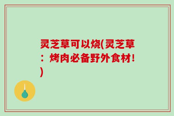 灵芝草可以烧(灵芝草：烤肉必备野外食材！)