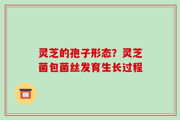 灵芝的孢子形态？灵芝菌包菌丝发育生长过程