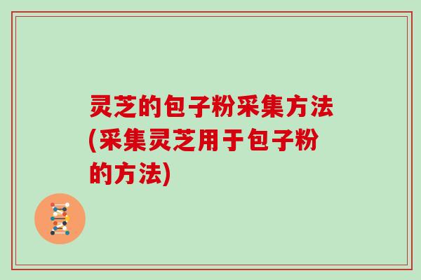 灵芝的包子粉采集方法(采集灵芝用于包子粉的方法)