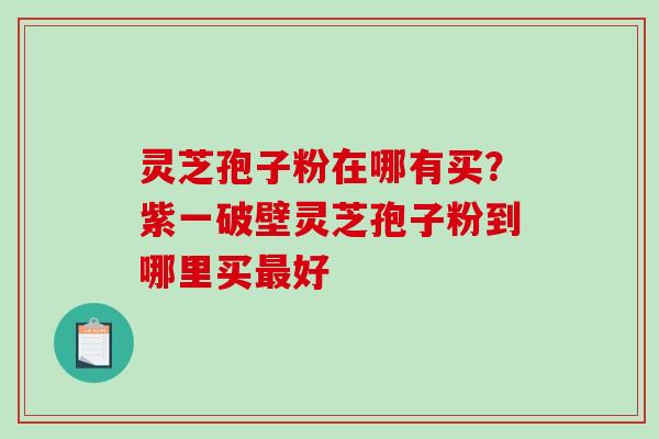 灵芝孢子粉在哪有买？紫一破壁灵芝孢子粉到哪里买好