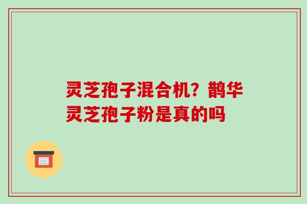 灵芝孢子混合机？鹊华灵芝孢子粉是真的吗