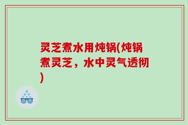 灵芝煮水用炖锅(炖锅煮灵芝，水中灵气透彻)