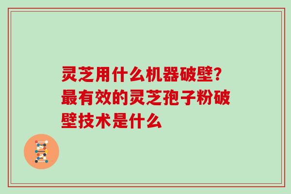灵芝用什么机器破壁？有效的灵芝孢子粉破壁技术是什么