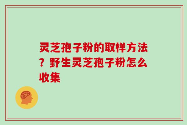 灵芝孢子粉的取样方法？野生灵芝孢子粉怎么收集