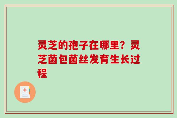 灵芝的孢子在哪里？灵芝菌包菌丝发育生长过程