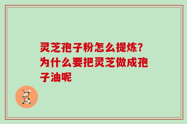 灵芝孢子粉怎么提炼？为什么要把灵芝做成孢子油呢