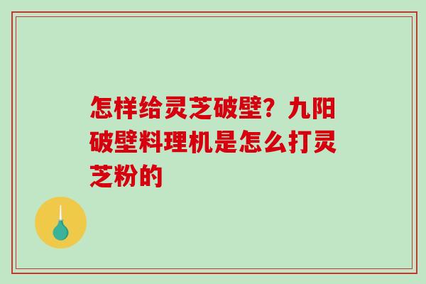 怎样给灵芝破壁?九阳破壁料理机是怎么打灵芝粉的 怎样给灵芝破壁?九阳破壁料理机是怎么打灵芝粉的