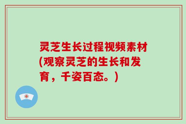 灵芝生长过程视频素材(观察灵芝的生长和发育,千姿百态。) 灵芝生长过程视频素材(观察灵芝的生长和发育,千姿百态。)