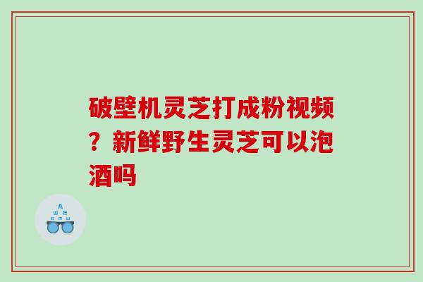 破壁机灵芝打成粉视频？新鲜野生灵芝可以泡酒吗