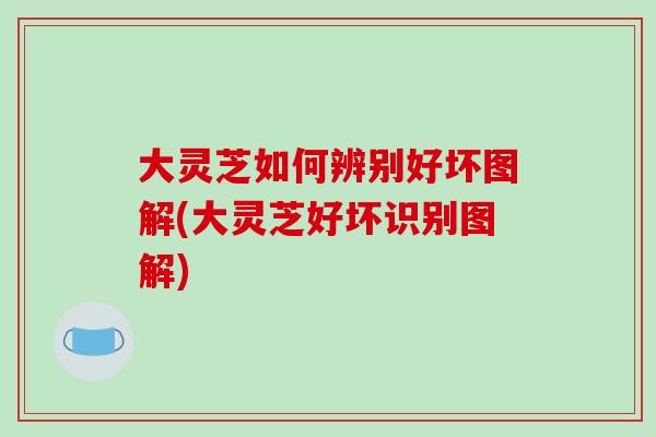大灵芝如何辨别好坏图解(大灵芝好坏识别图解)