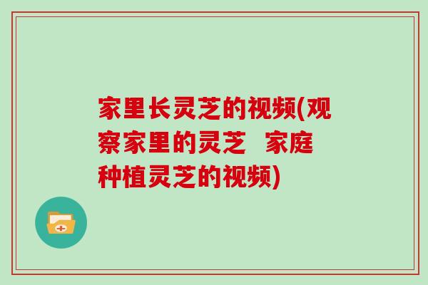 家里长灵芝的视频(观察家里的灵芝  家庭种植灵芝的视频)