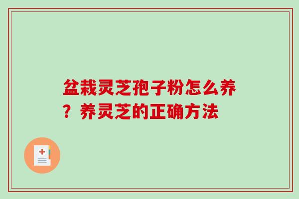 盆栽灵芝孢子粉怎么养？养灵芝的正确方法