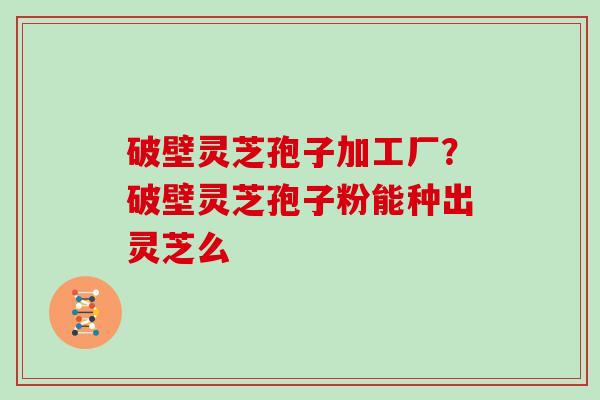 破壁灵芝孢子加工厂？破壁灵芝孢子粉能种出灵芝么