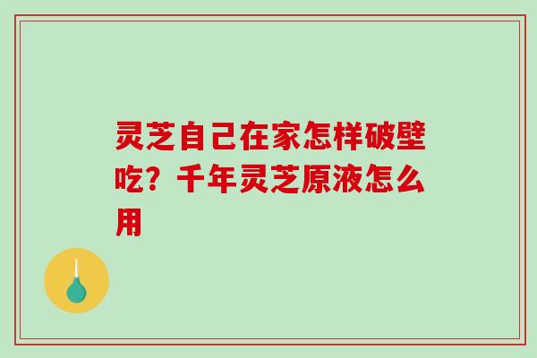 灵芝自己在家怎样破壁吃？千年灵芝原液怎么用