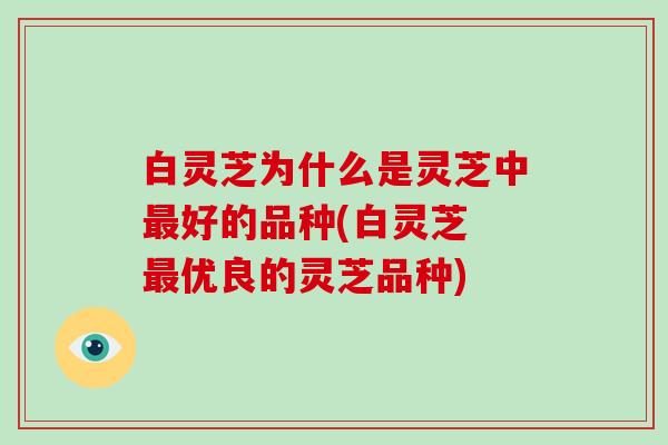 白灵芝为什么是灵芝中好的品种(白灵芝 优良的灵芝品种)