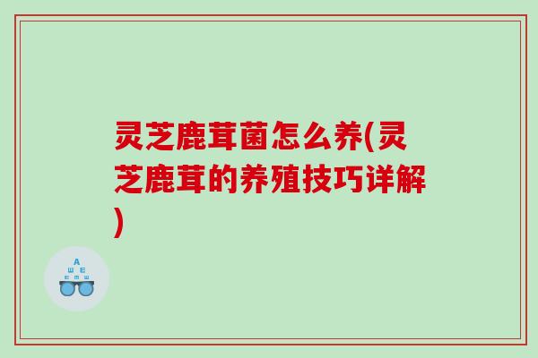 灵芝鹿茸菌怎么养(灵芝鹿茸的养殖技巧详解)