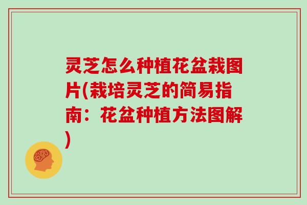 灵芝怎么种植花盆栽图片(栽培灵芝的简易指南：花盆种植方法图解)