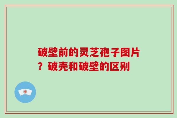 破壁前的灵芝孢子图片？破壳和破壁的区别