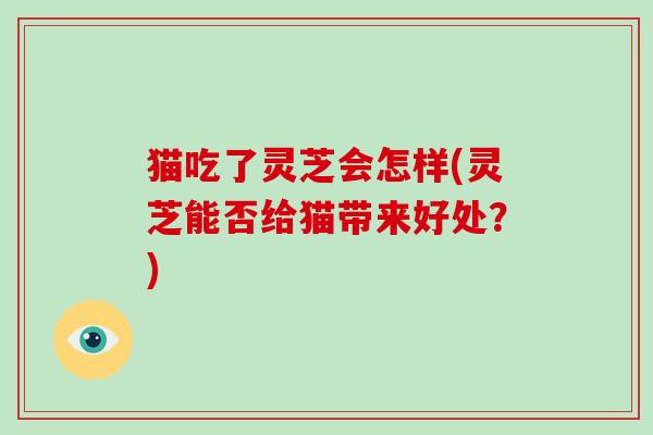 猫吃了灵芝会怎样(灵芝能否给猫带来好处？)