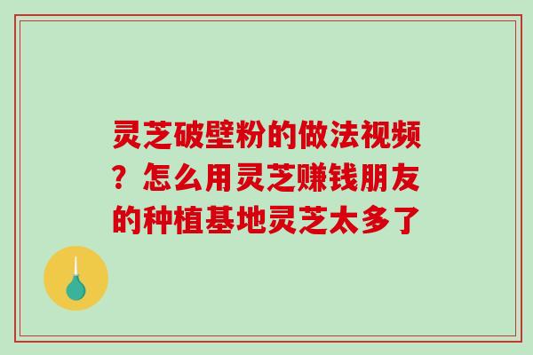 灵芝破壁粉的做法视频？怎么用灵芝赚钱朋友的种植基地灵芝太多了