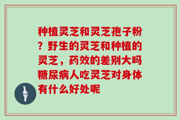 种植灵芝和灵芝孢子粉？野生的灵芝和种植的灵芝，的差别大吗人吃灵芝对身体有什么好处呢