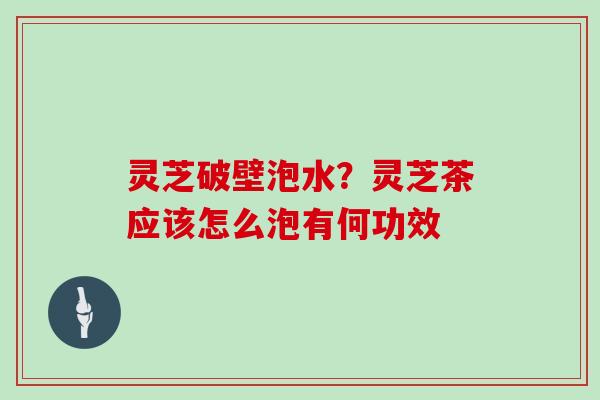 灵芝破壁泡水？灵芝茶应该怎么泡有何功效