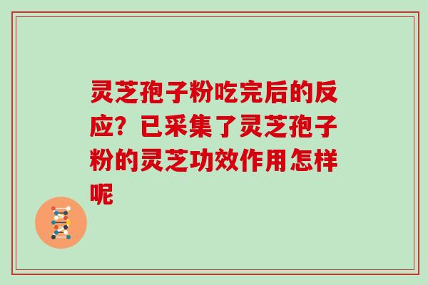 灵芝孢子粉吃完后的反应？已采集了灵芝孢子粉的灵芝功效作用怎样呢