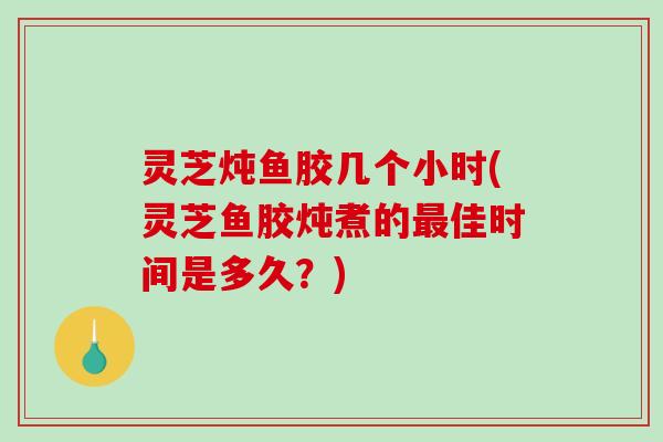 灵芝炖鱼胶几个小时(灵芝鱼胶炖煮的佳时间是多久？)