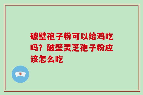 破壁孢子粉可以给鸡吃吗？破壁灵芝孢子粉应该怎么吃