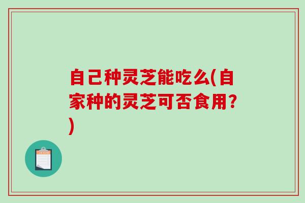 自己种灵芝能吃么(自家种的灵芝可否食用？)