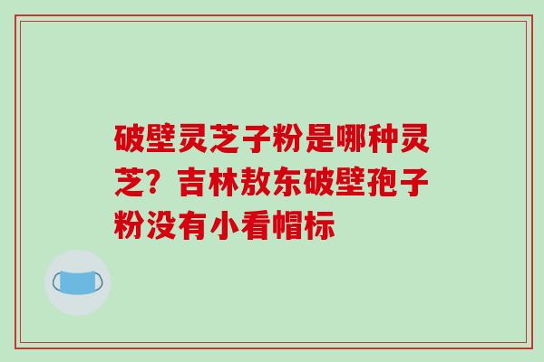 破壁灵芝子粉是哪种灵芝？吉林敖东破壁孢子粉没有小看帽标