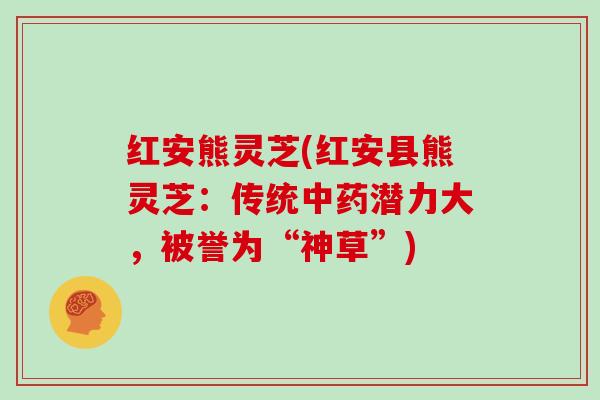 红安熊灵芝(红安县熊灵芝：传统潜力大，被誉为“神草”)