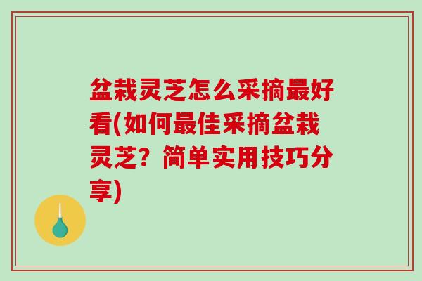 盆栽灵芝怎么采摘好看(如何佳采摘盆栽灵芝？简单实用技巧分享)