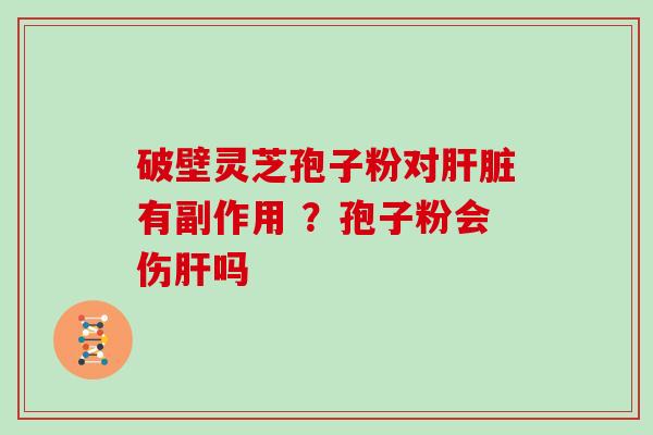 破壁灵芝孢子粉对有副作用 ?孢子粉会伤吗 破壁灵芝孢子粉对有副作用 ?孢子粉会伤吗
