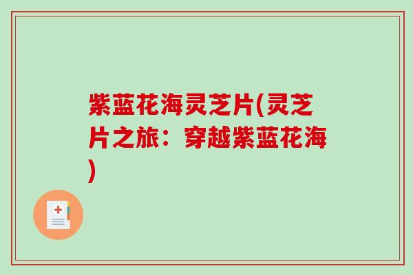 紫蓝花海灵芝片(灵芝片之旅：穿越紫蓝花海)