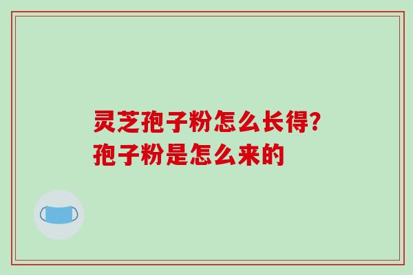 灵芝孢子粉怎么长得？孢子粉是怎么来的