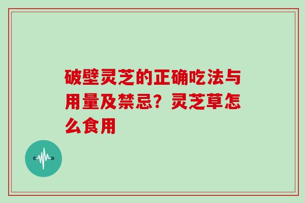 破壁灵芝的正确吃法与用量及禁忌？灵芝草怎么食用