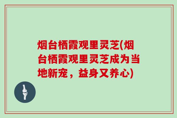 烟台栖霞观里灵芝(烟台栖霞观里灵芝成为当地新宠，益身又养心)