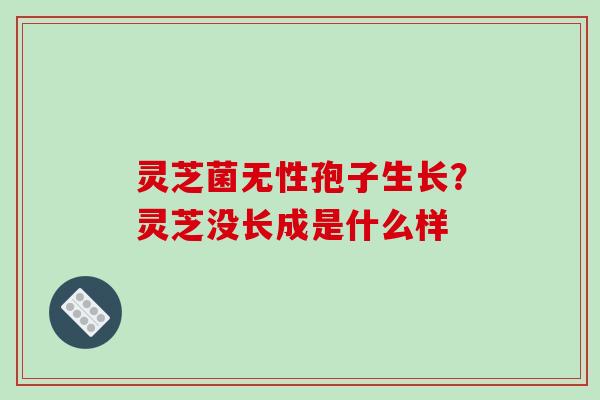 灵芝菌无性孢子生长？灵芝没长成是什么样